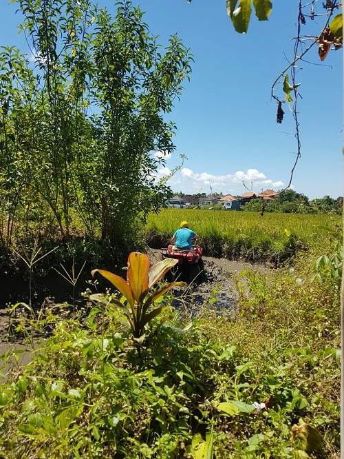 ATV Ride @Wahana